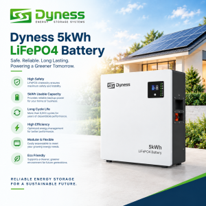 Dyness 5kWh LiFePO4 Battery
